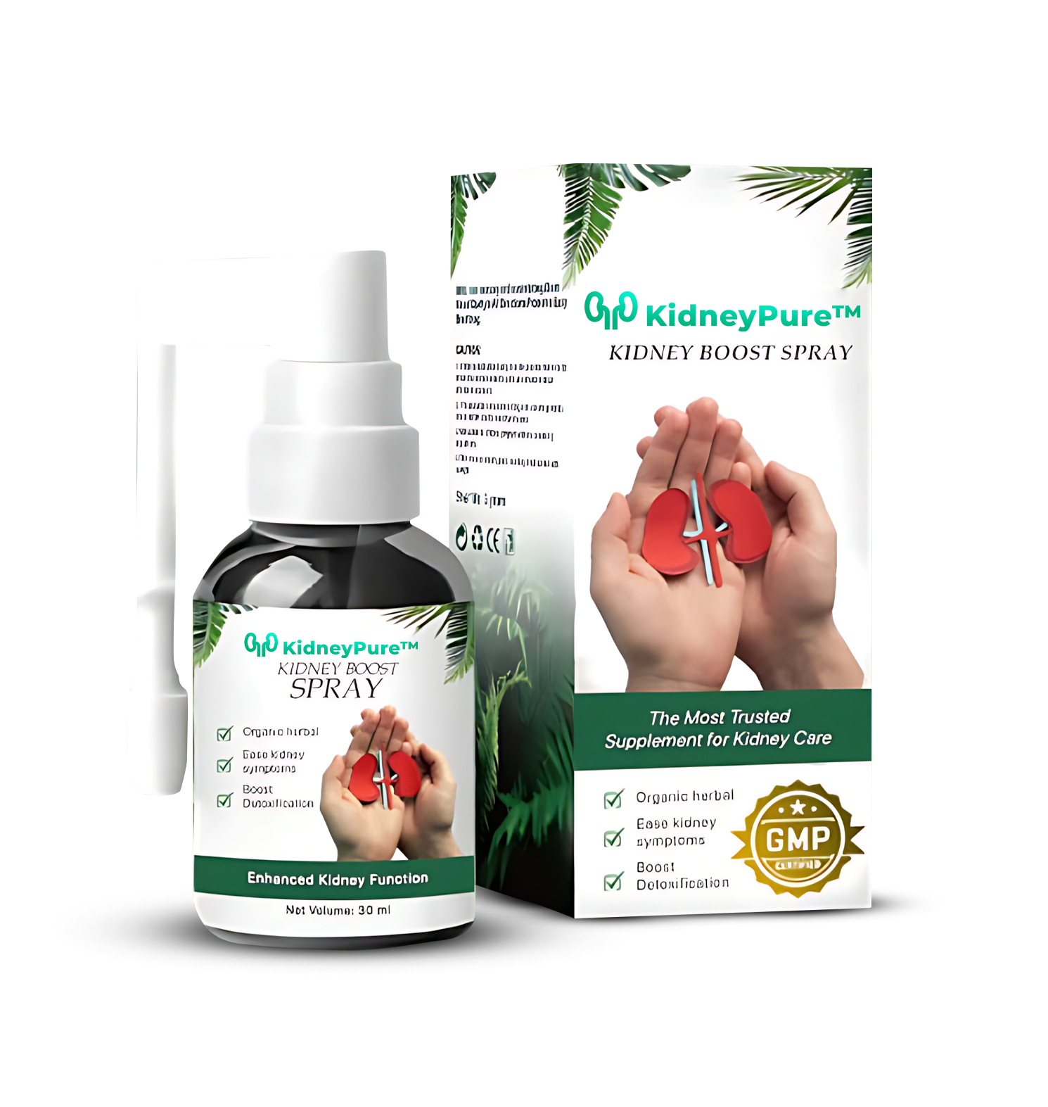 KidneyPure™ - Spray | Reduziert Nierenentzündungen & fördert die Entgiftung in nur wenigen Wochen