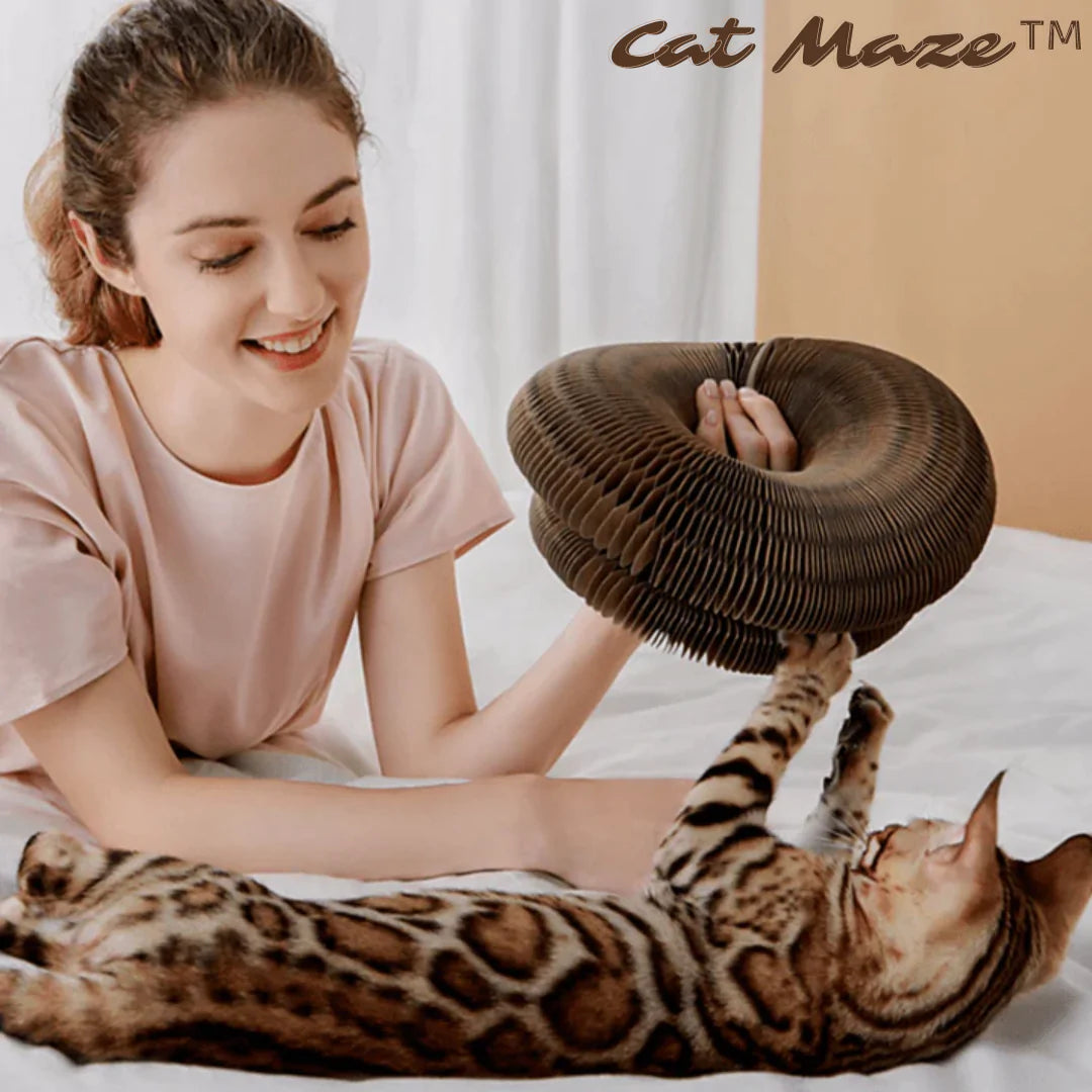 Catmaze™ - Katzenspielzeug